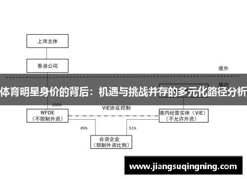 体育明星身价的背后：机遇与挑战并存的多元化路径分析