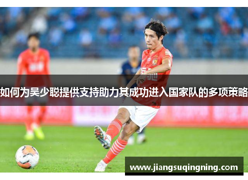 如何为吴少聪提供支持助力其成功进入国家队的多项策略