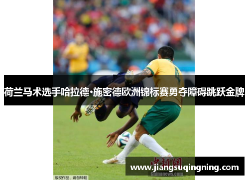 荷兰马术选手哈拉德·施密德欧洲锦标赛勇夺障碍跳跃金牌