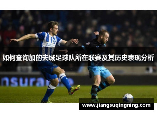 如何查询加的夫城足球队所在联赛及其历史表现分析 如何查询加的夫城足球队所在联赛及其历史表现分析